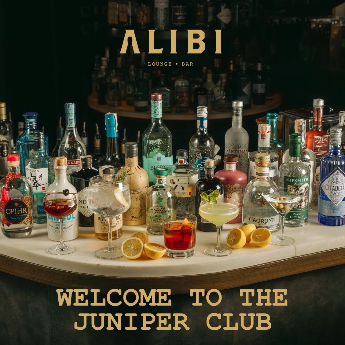 Welcome to Juniper Club