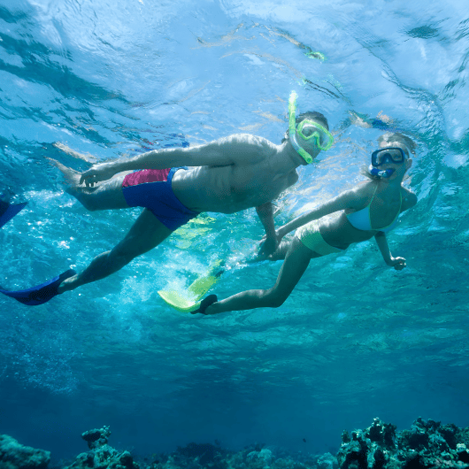 Island Pulse: Water Sports ActivitiesImage