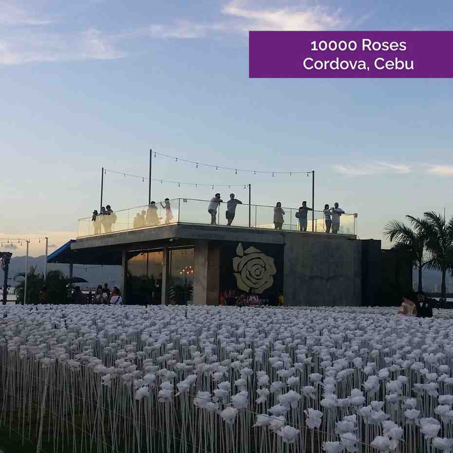 Two Night Stay with Cebu City and 10000 Roses Tour