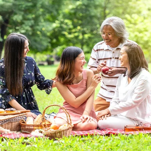 Morning Picnic Spread