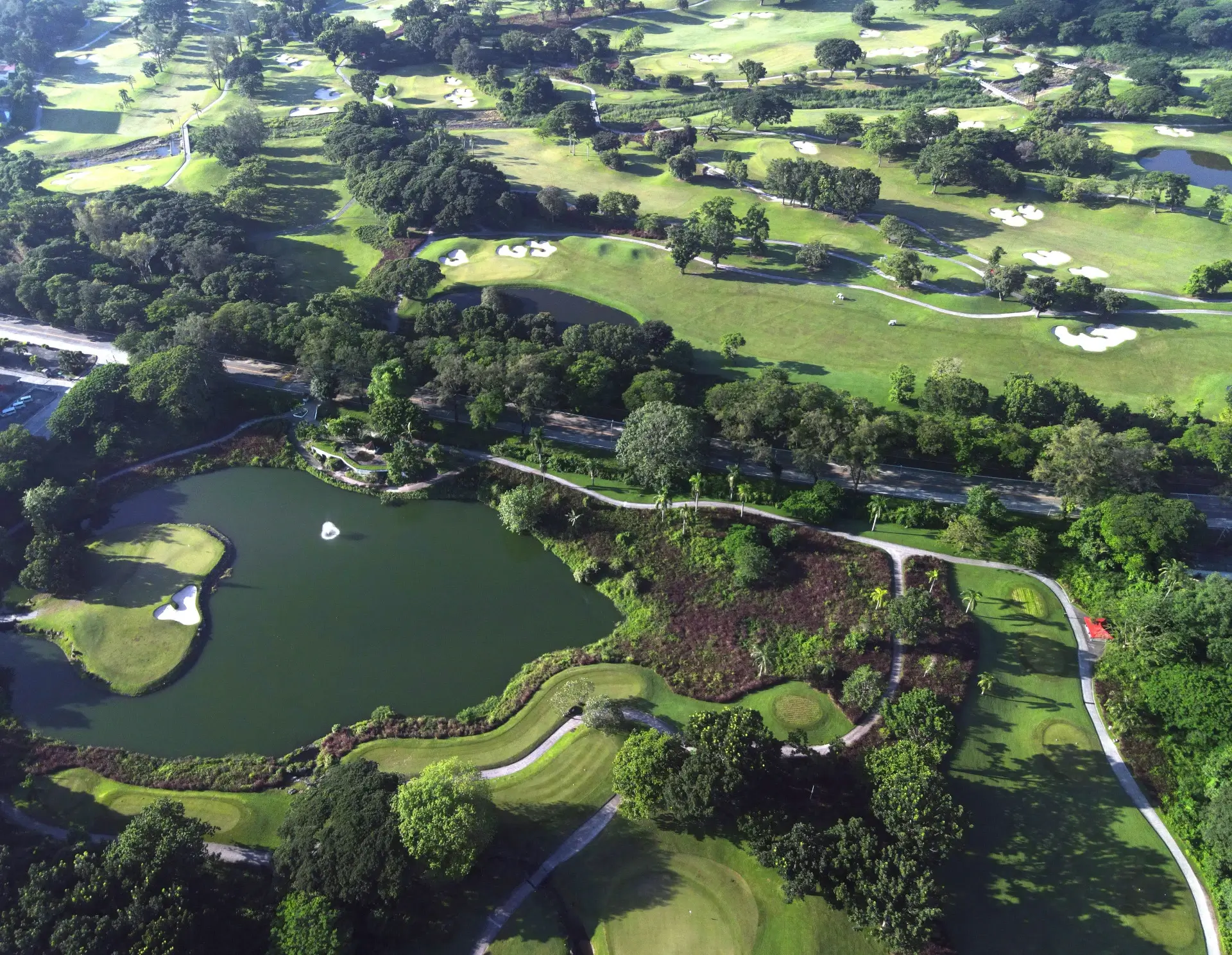 Expanding landscapes: Adding beauty and habitats