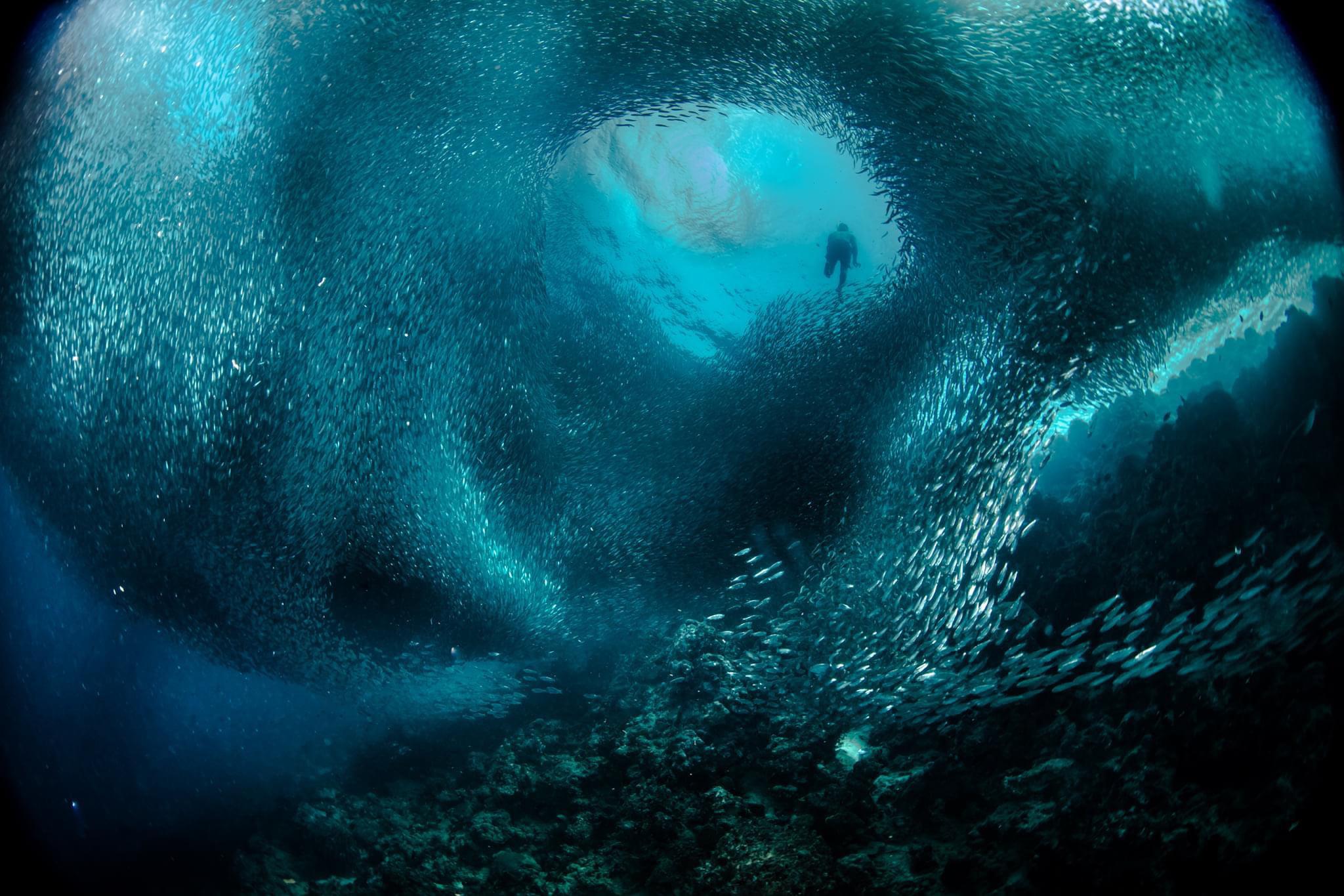 Dive