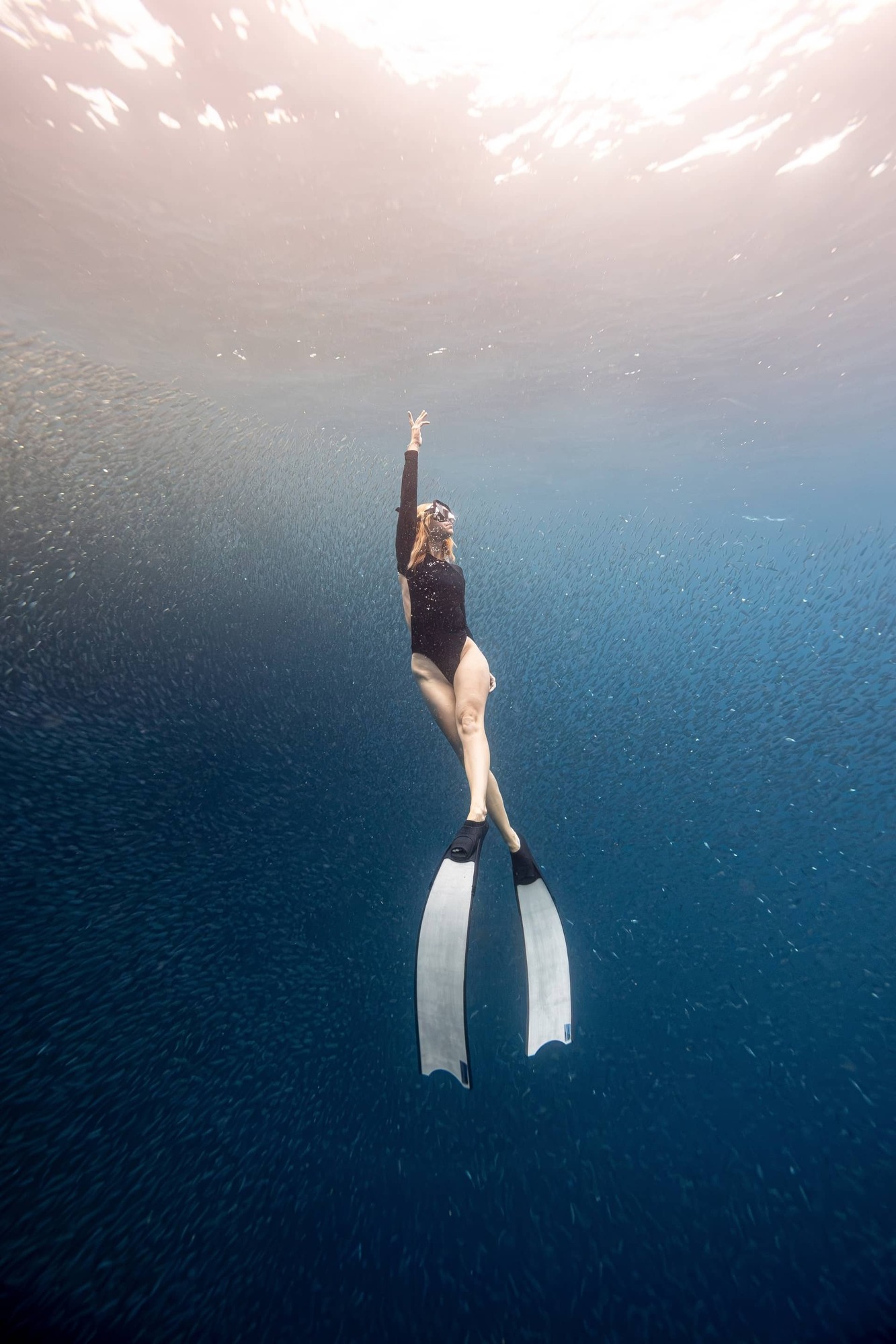 Dive