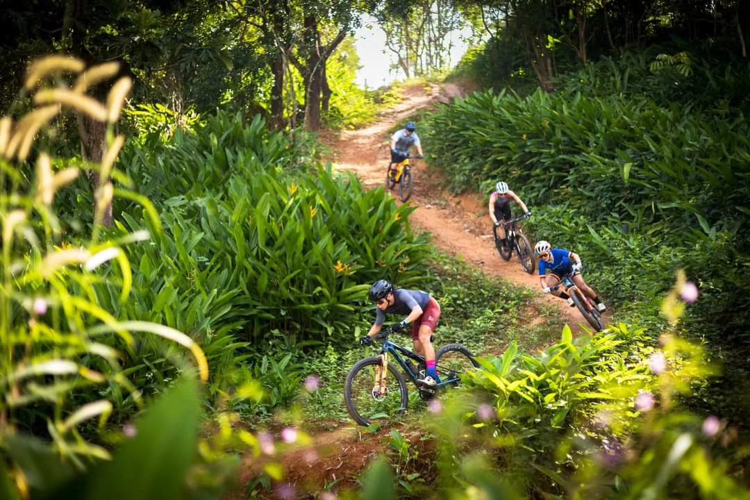 Mountain Bikes