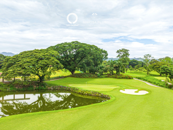 Mimosa Plus Golf Course: Nature Meets Golfing Excellence
